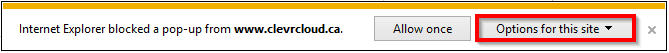 Internet Explorer blocked a pop up notice with options for site button